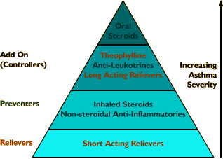 Management Of Asthma Drug Therapy