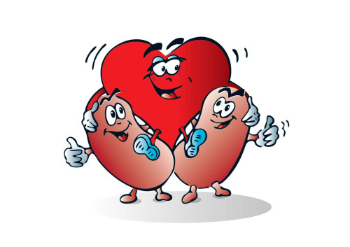 Kidney Disease and Heart Health