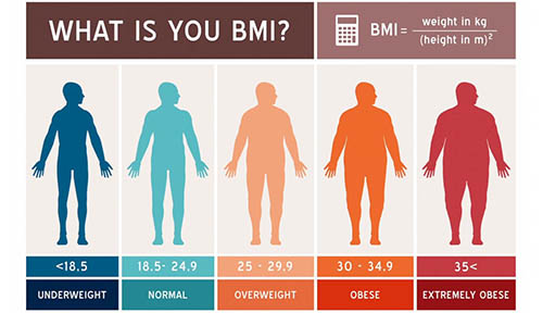 Obesity: A National Burden