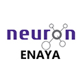 neuron enaya